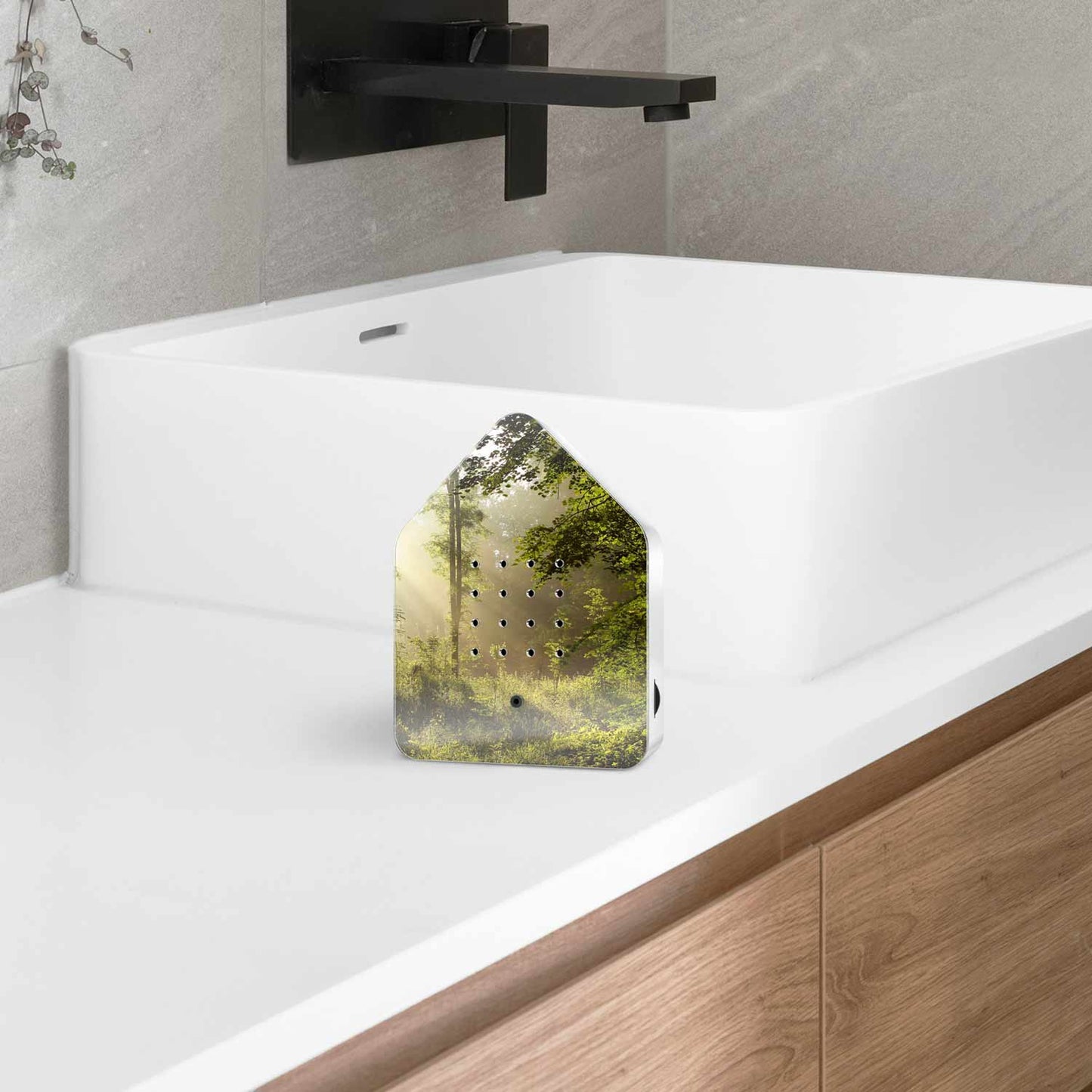 Zwitscherbox Sunbeam