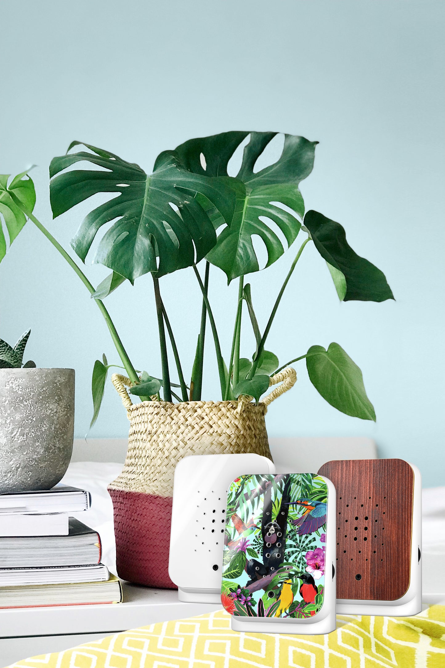 Junglebox Tropic