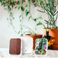 Junglebox Tropic