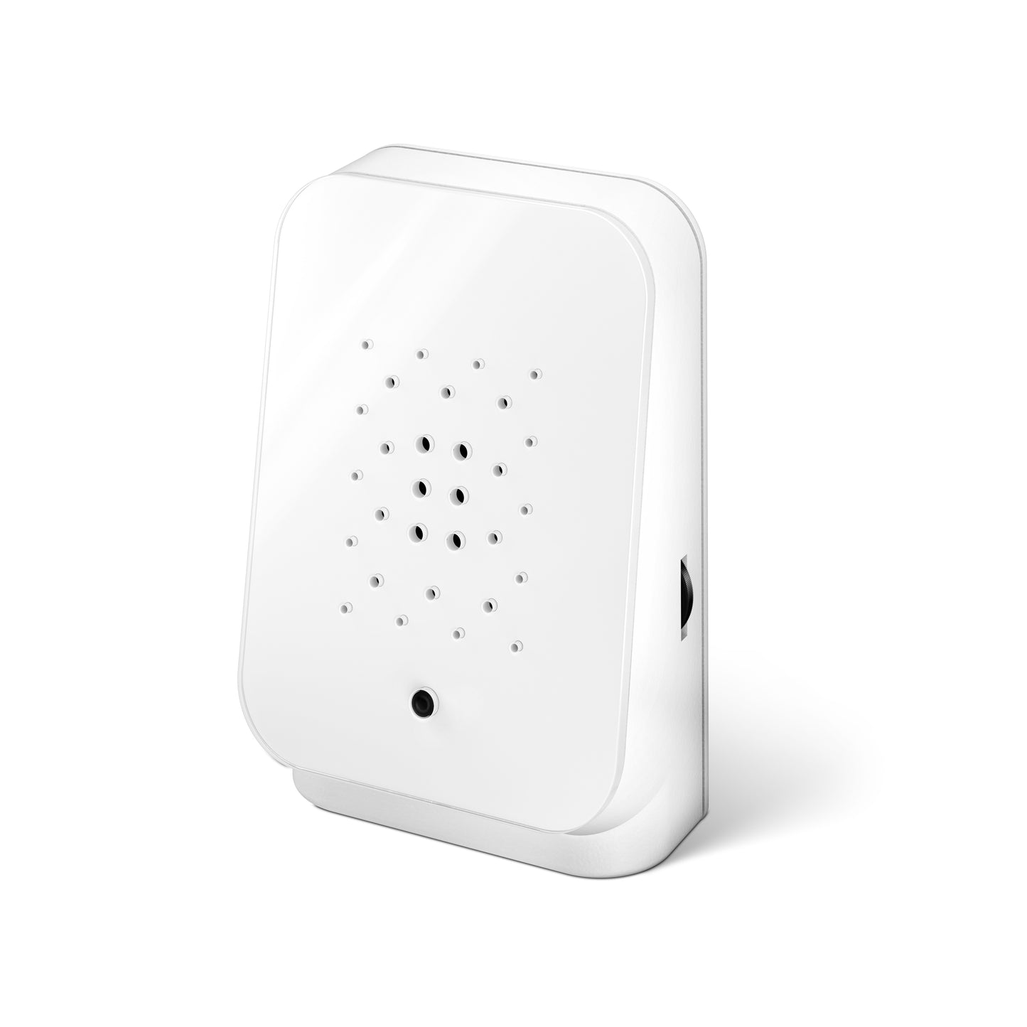 Junglebox White
