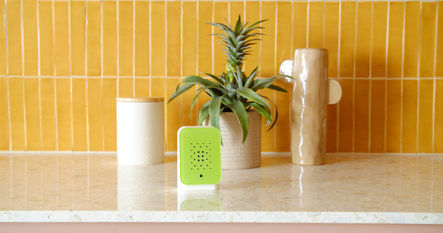 Junglebox Lush