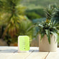 Junglebox Lush