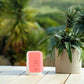 Junglebox Rosy