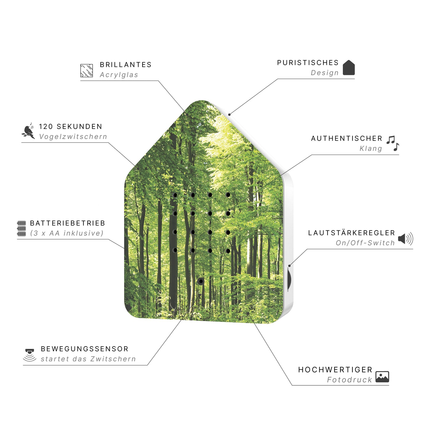 Zwitscherbox Forest
