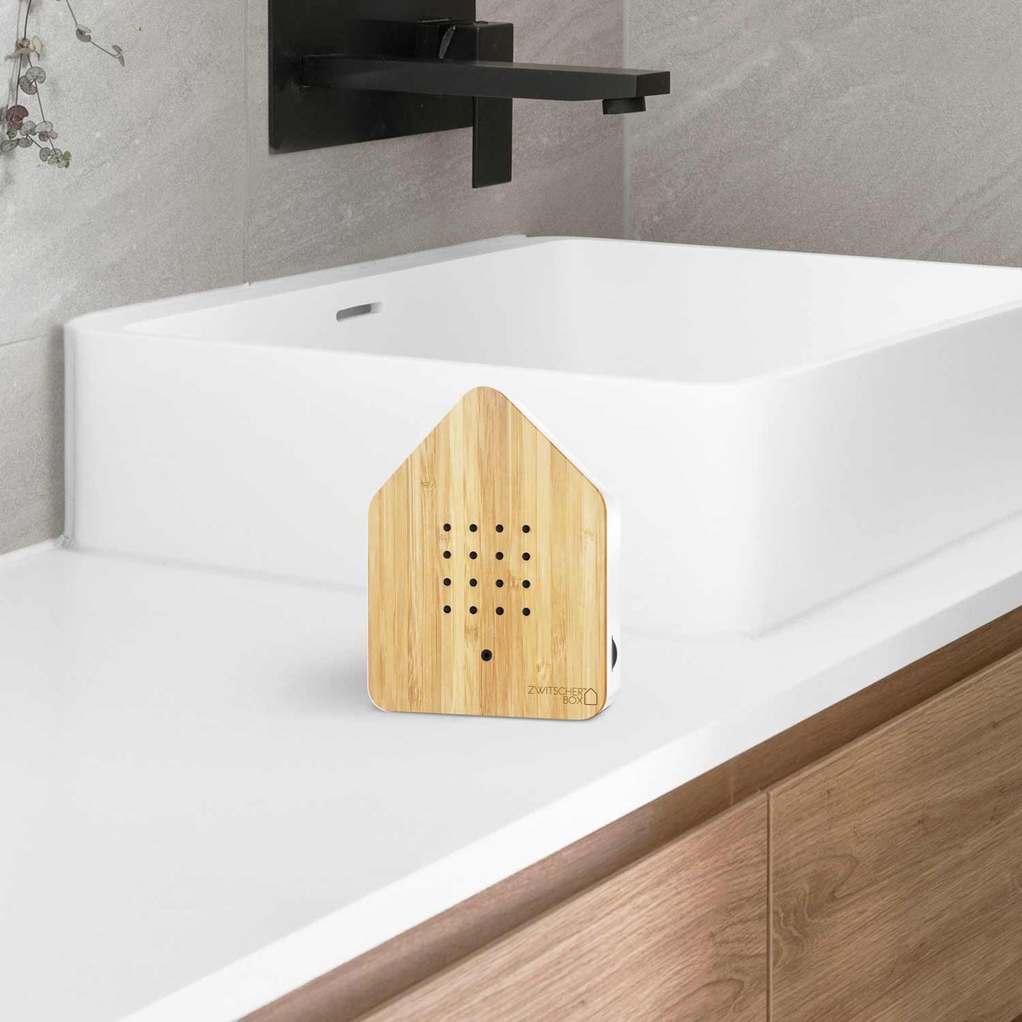 Zwitscherbox Bamboo