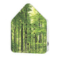 Zwitscherbox Forest