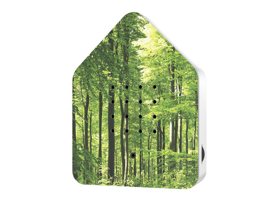 Zwitscherbox Forest