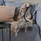 Thyme Cushion 50x50cm - Elvang - 5032