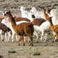 Inca Stones Throw - Elvang - 7108